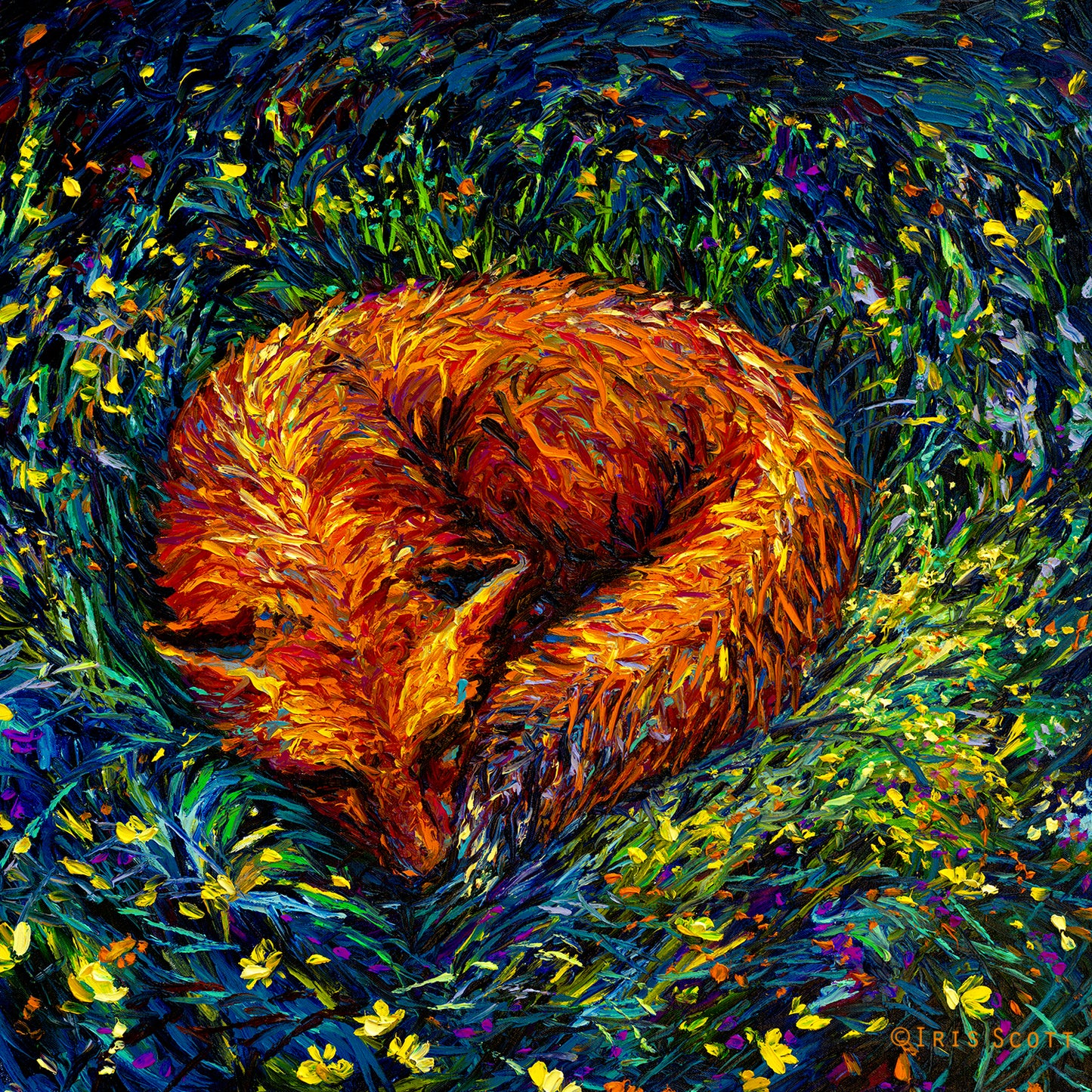 Fox Nap