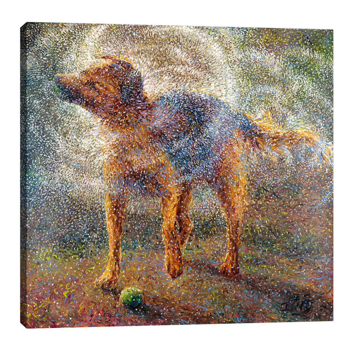Shakin' Shepherd | Canvas Print