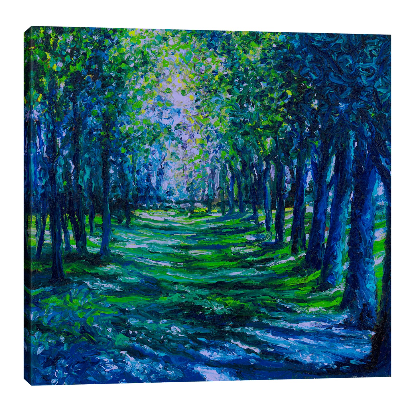 Blue Evergreens