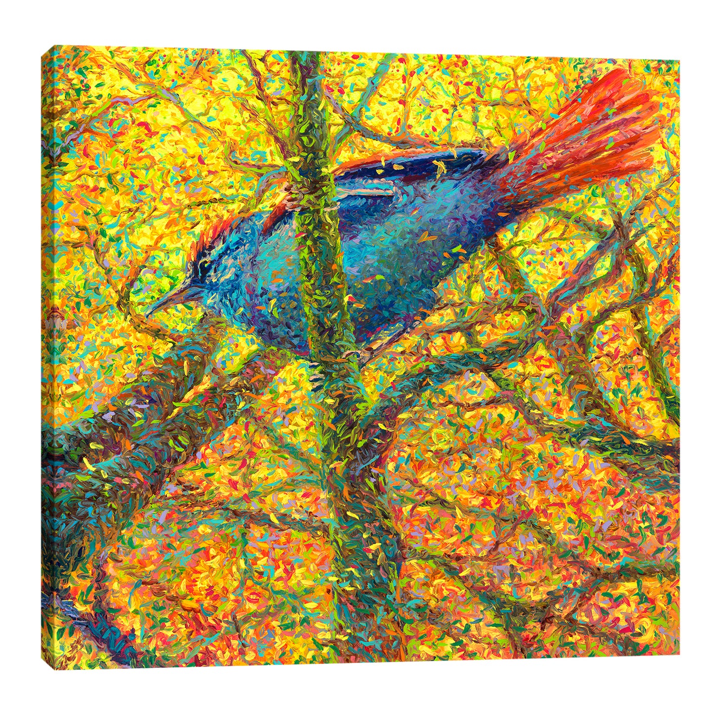 Yellow Bluebird | Canvas Print