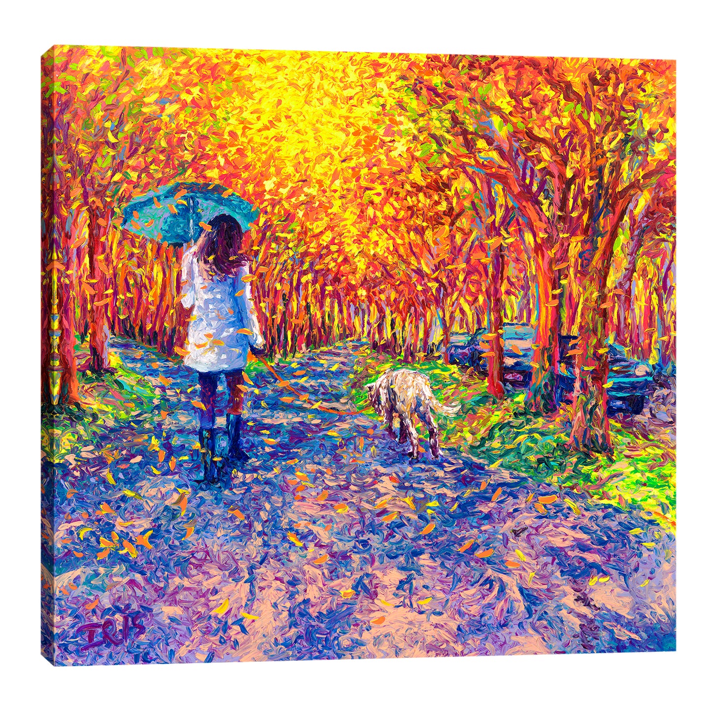 Windy White Coats | Canvas Print