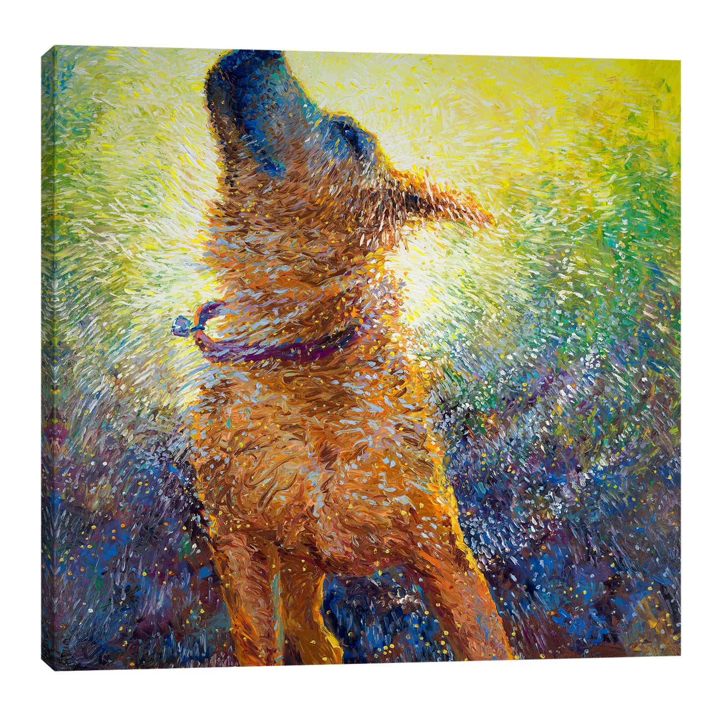 Phoebe's Reign | Canvas Print