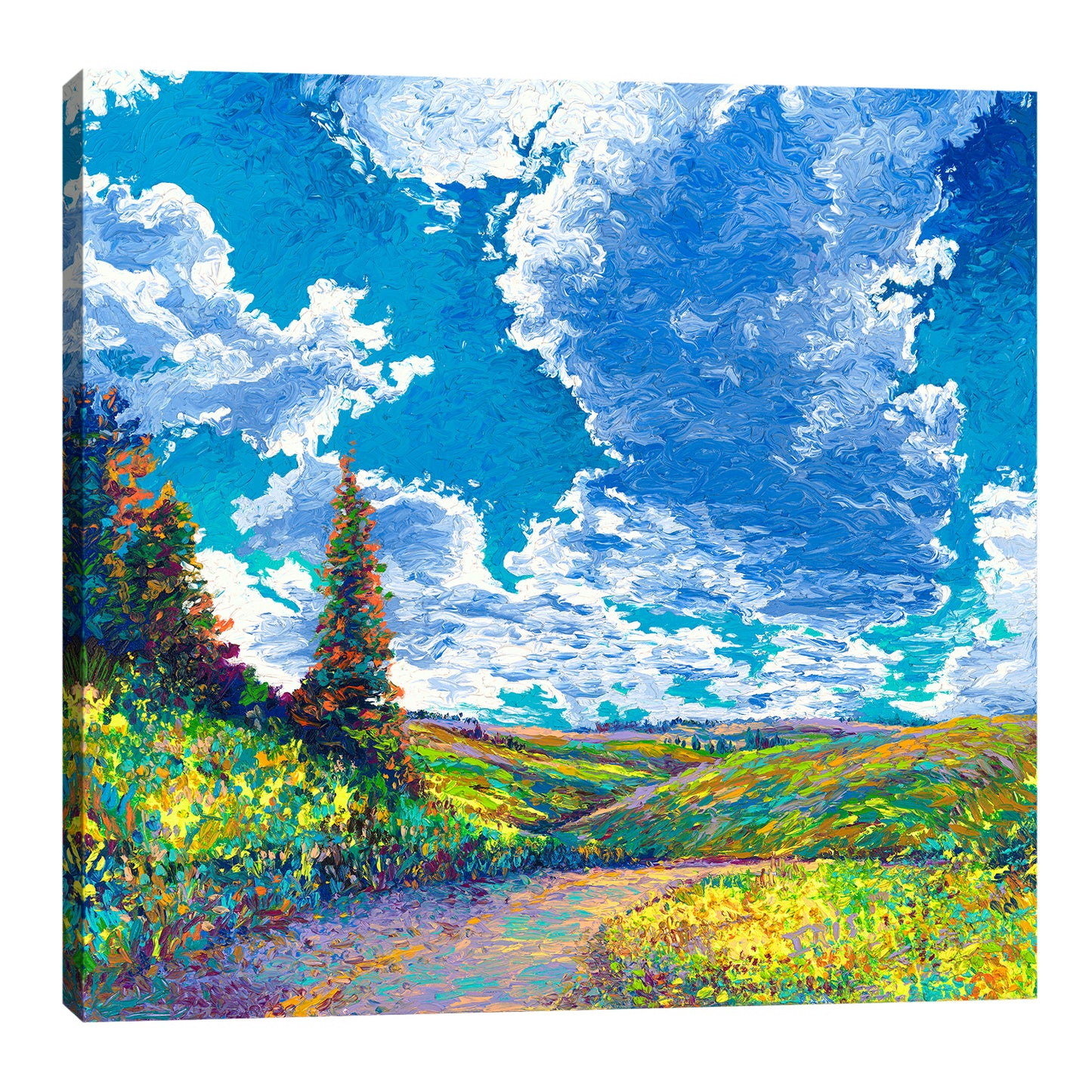 Edge Of Canyon Road
