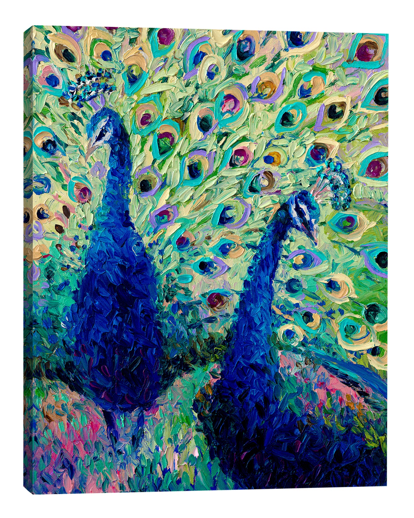 Gemini Peacock | Canvas Print