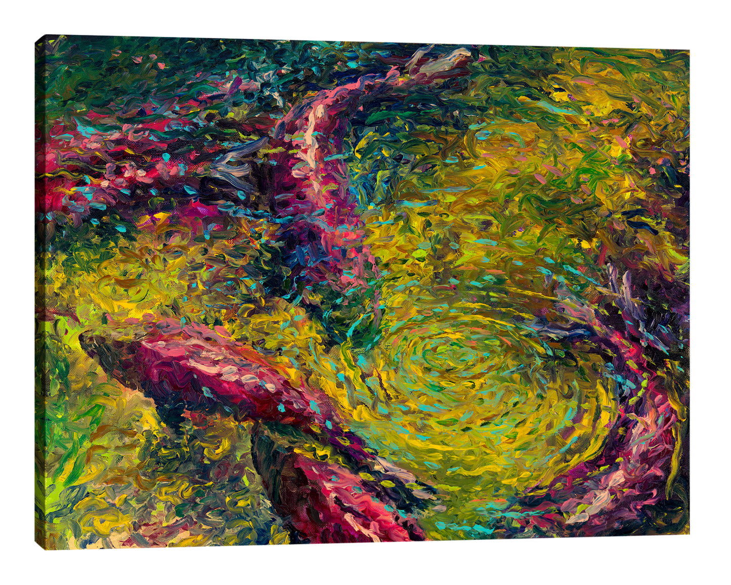 December Sockeye | Canvas Print