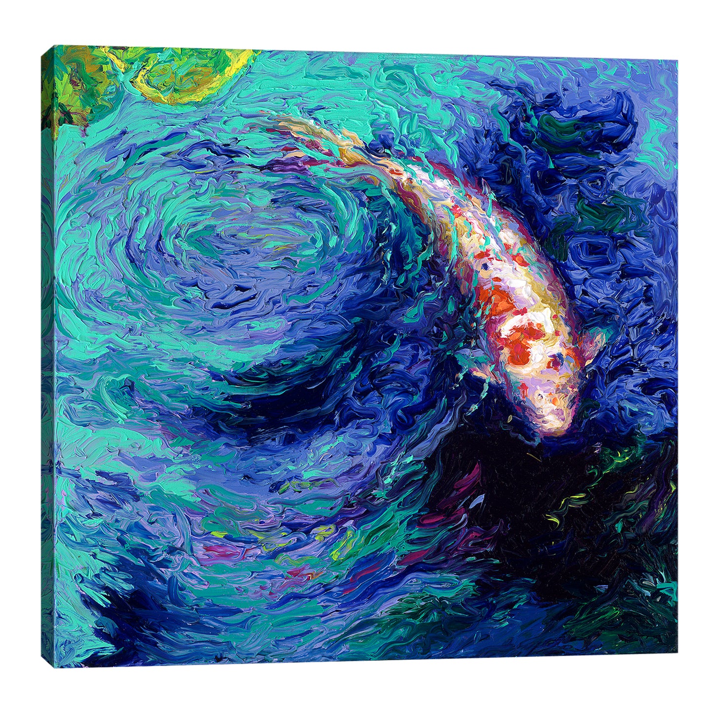 Jacaranda | Canvas Print