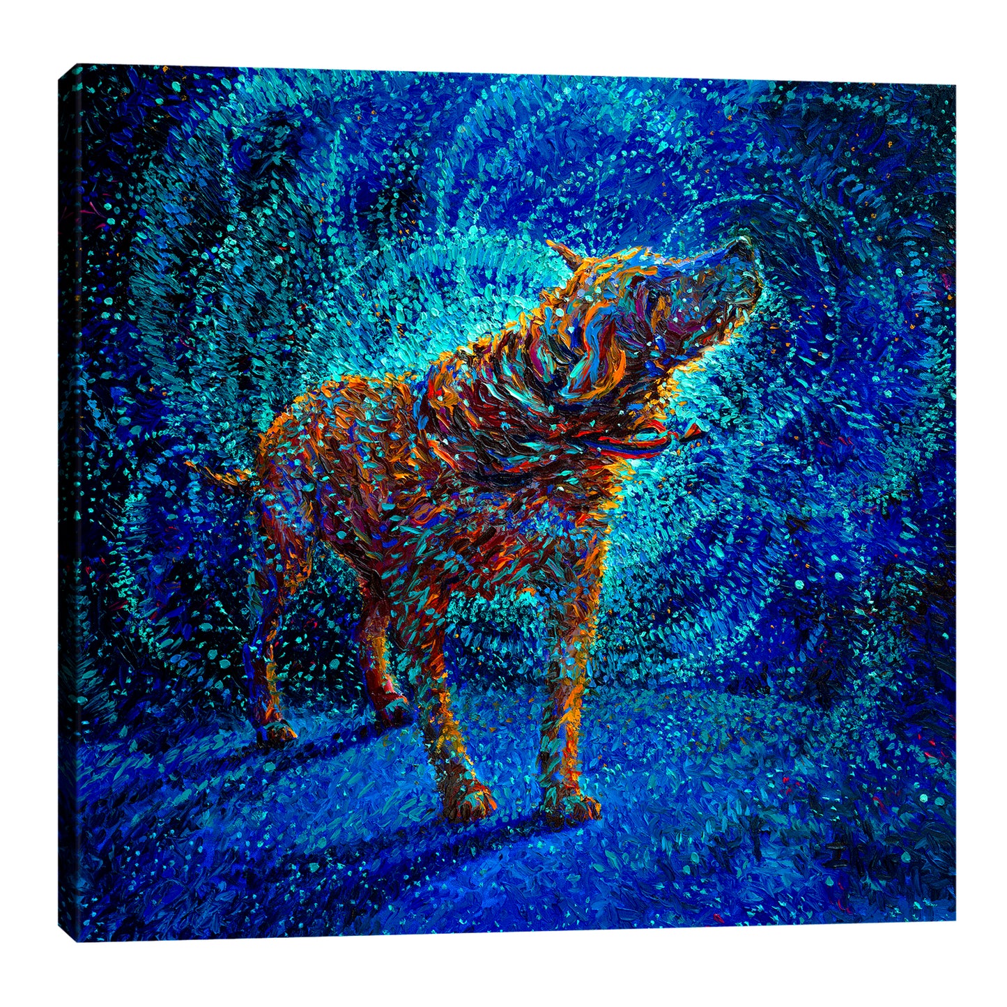 Polarized | Canvas Print