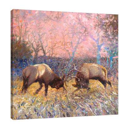 Elk Rut