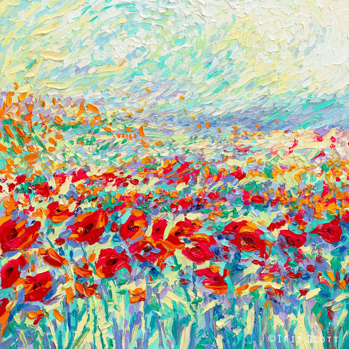 Egyptian Poppies