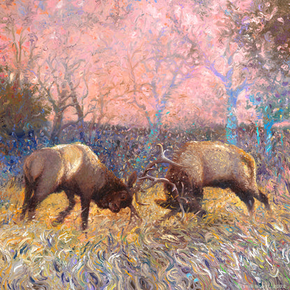 Elk Rut