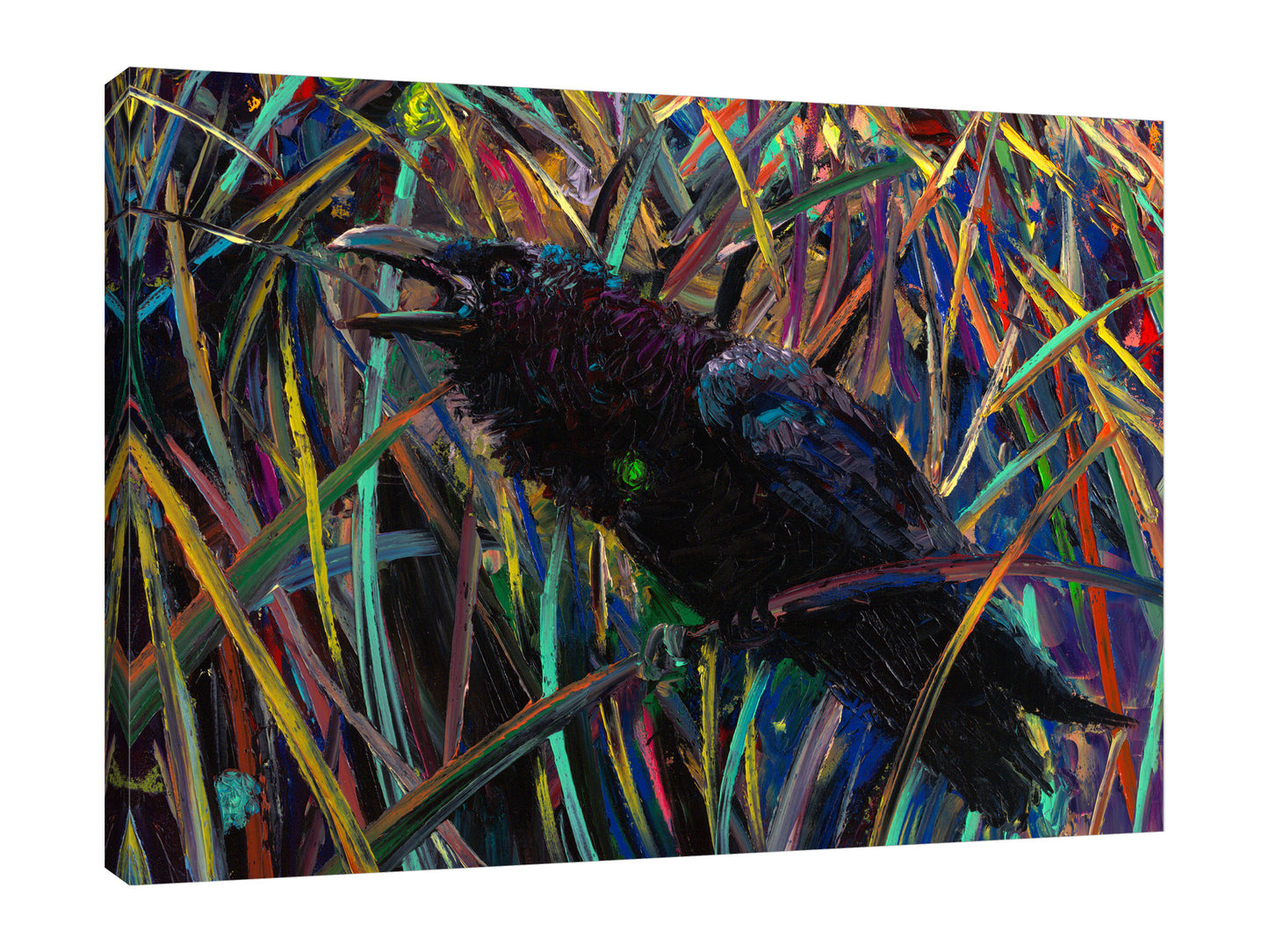 Raven Of Wapiti | Canvas Print