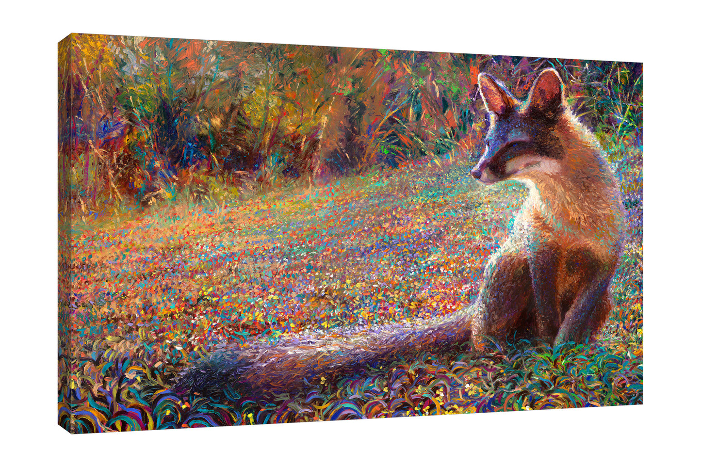 Fox Tail Thicket | Canvas Print