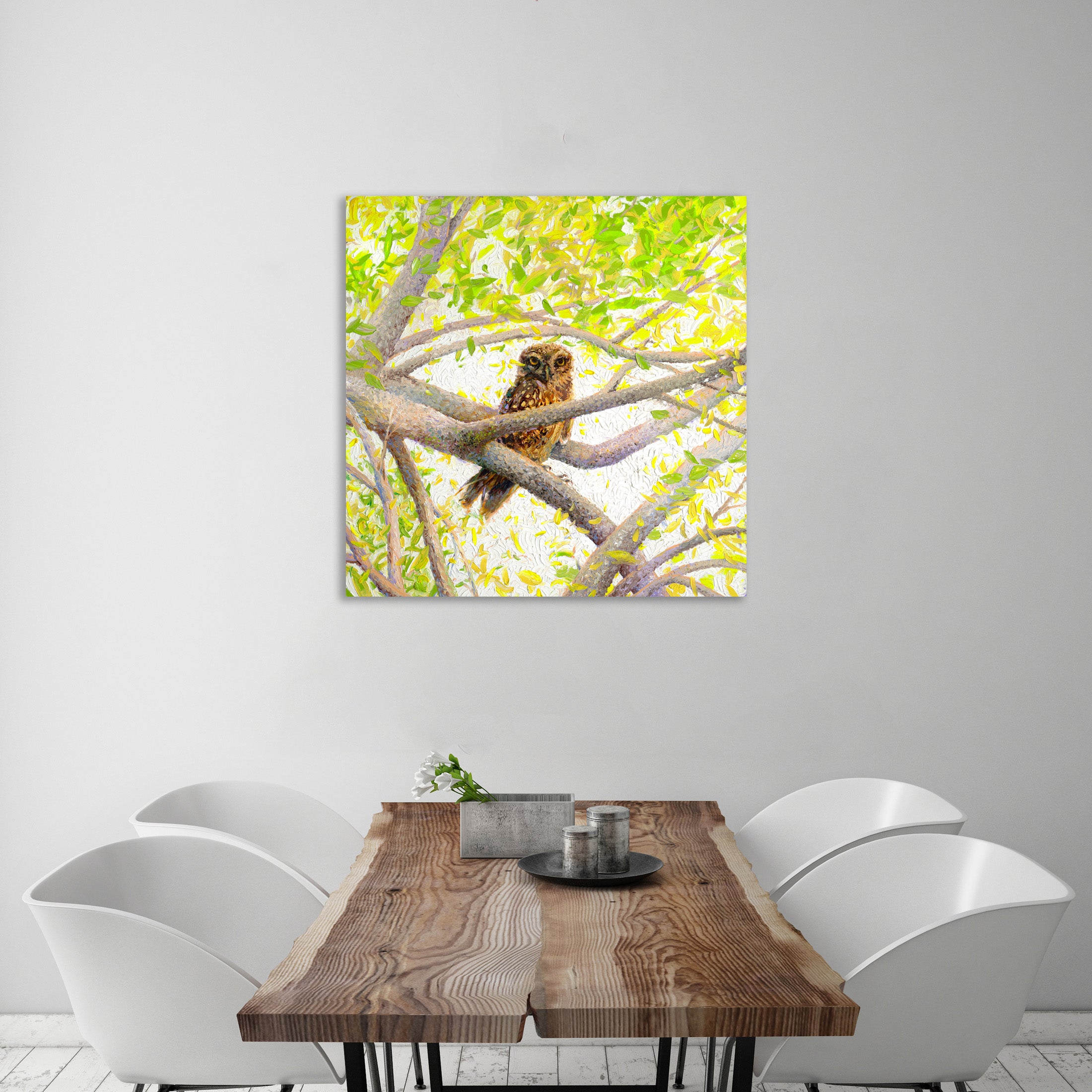 Indian Owl Spotted by Iris Scott - Gallery Wrapped Canvas Print