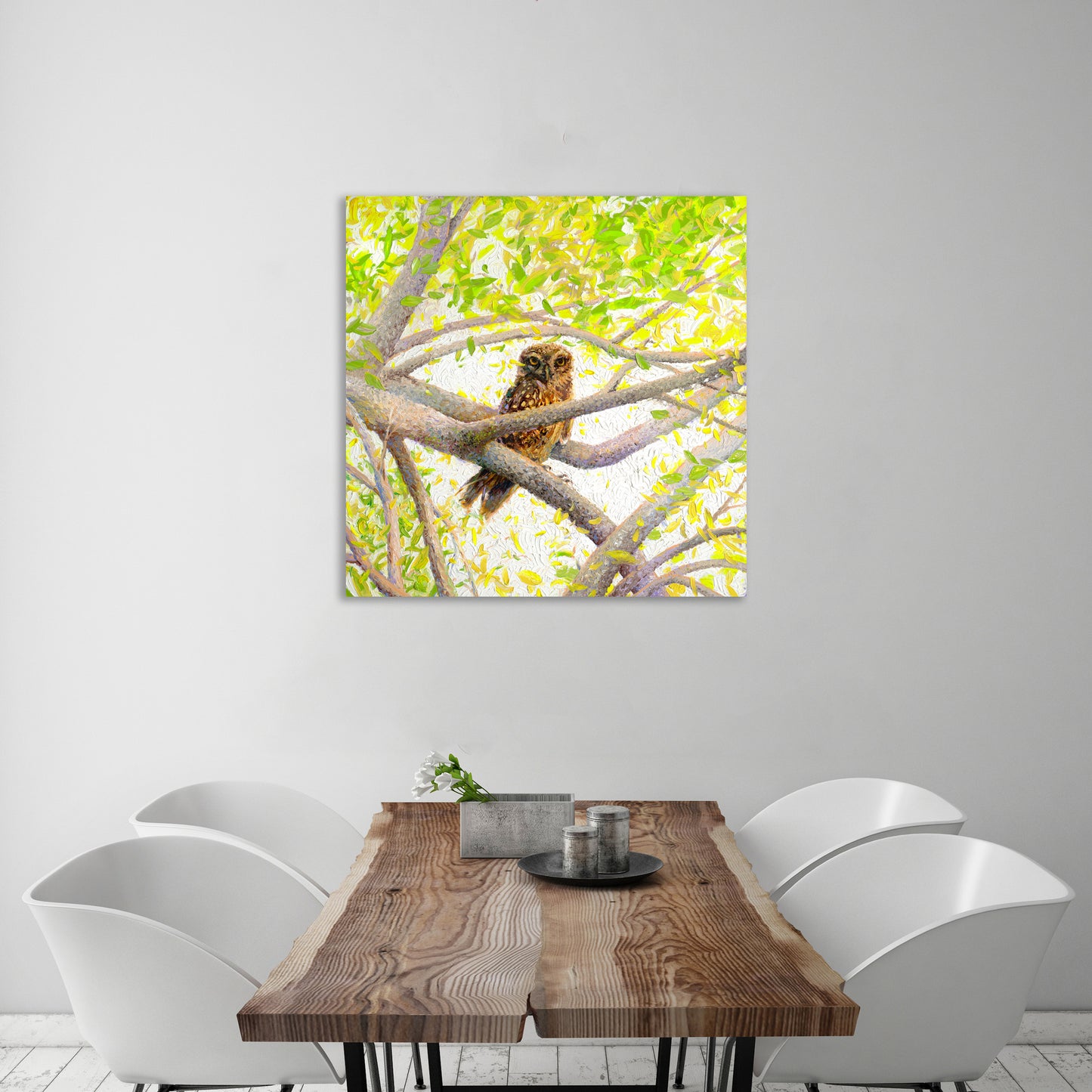 Indian Owl Spotted | Canvas Print