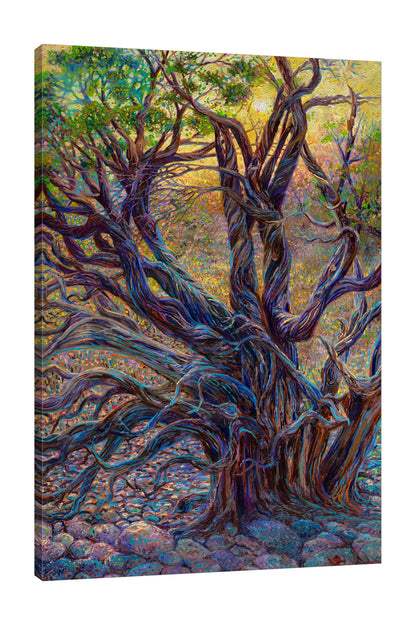 Juniper Loom
