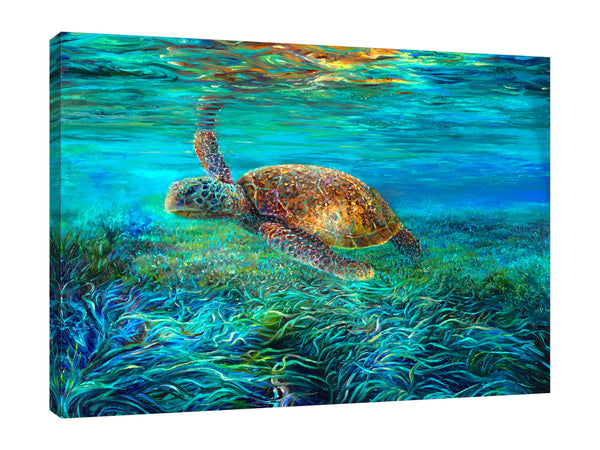 Blades Turtle by Iris Scott - Gallery Wrapped Canvas Print