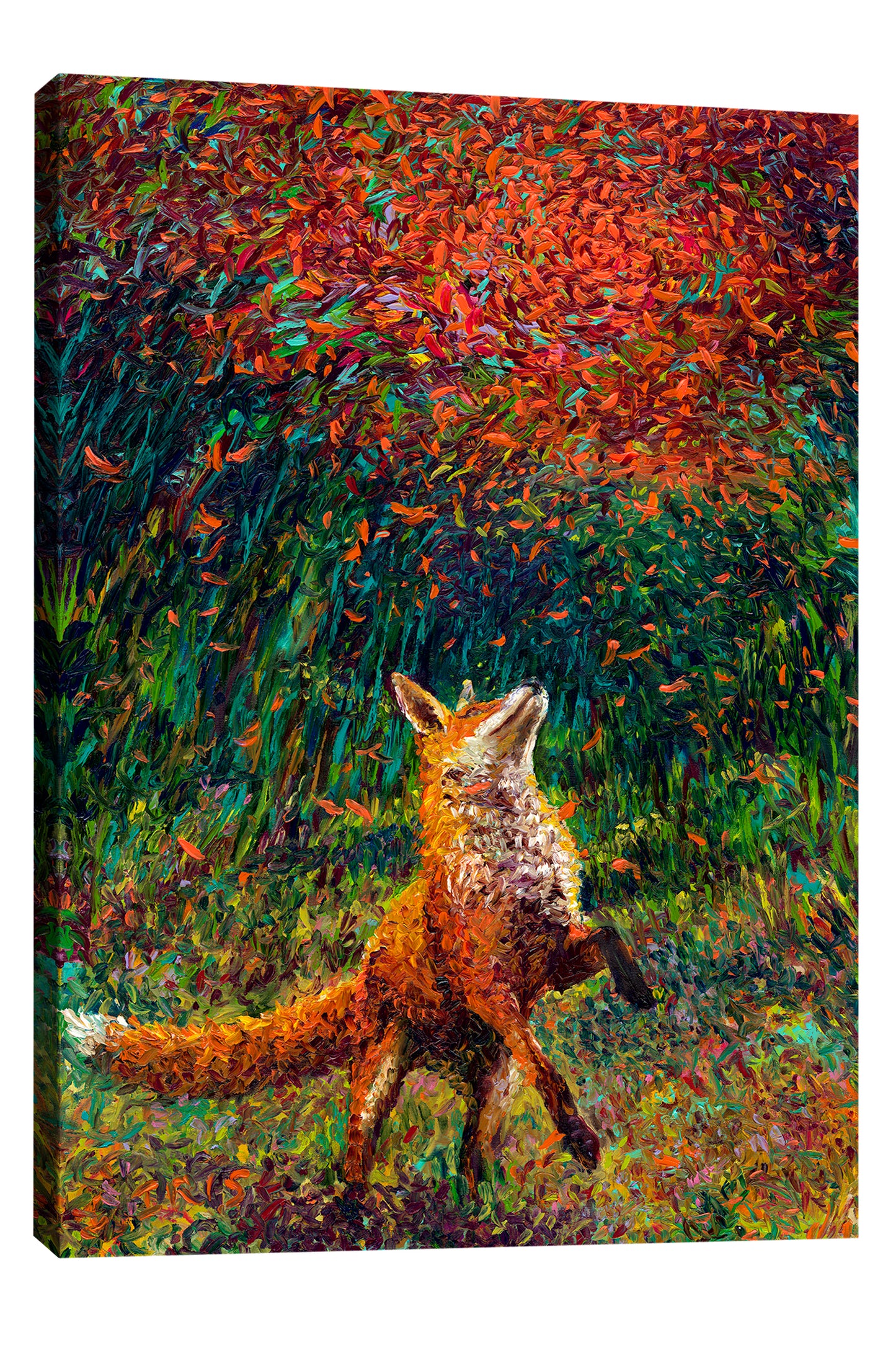 Fox Fire | Canvas Print