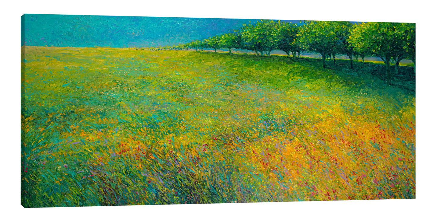 Orchard's Edge | Canvas Print