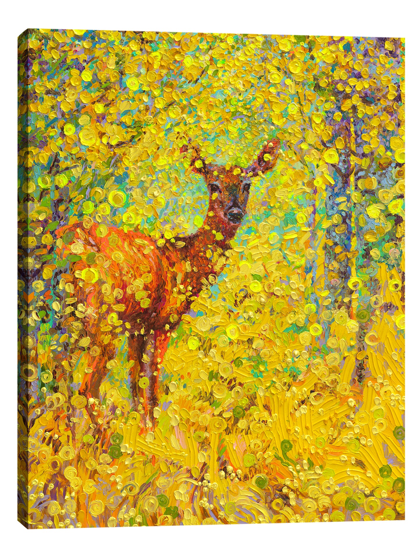 White Tail Deer | Canvas Print
