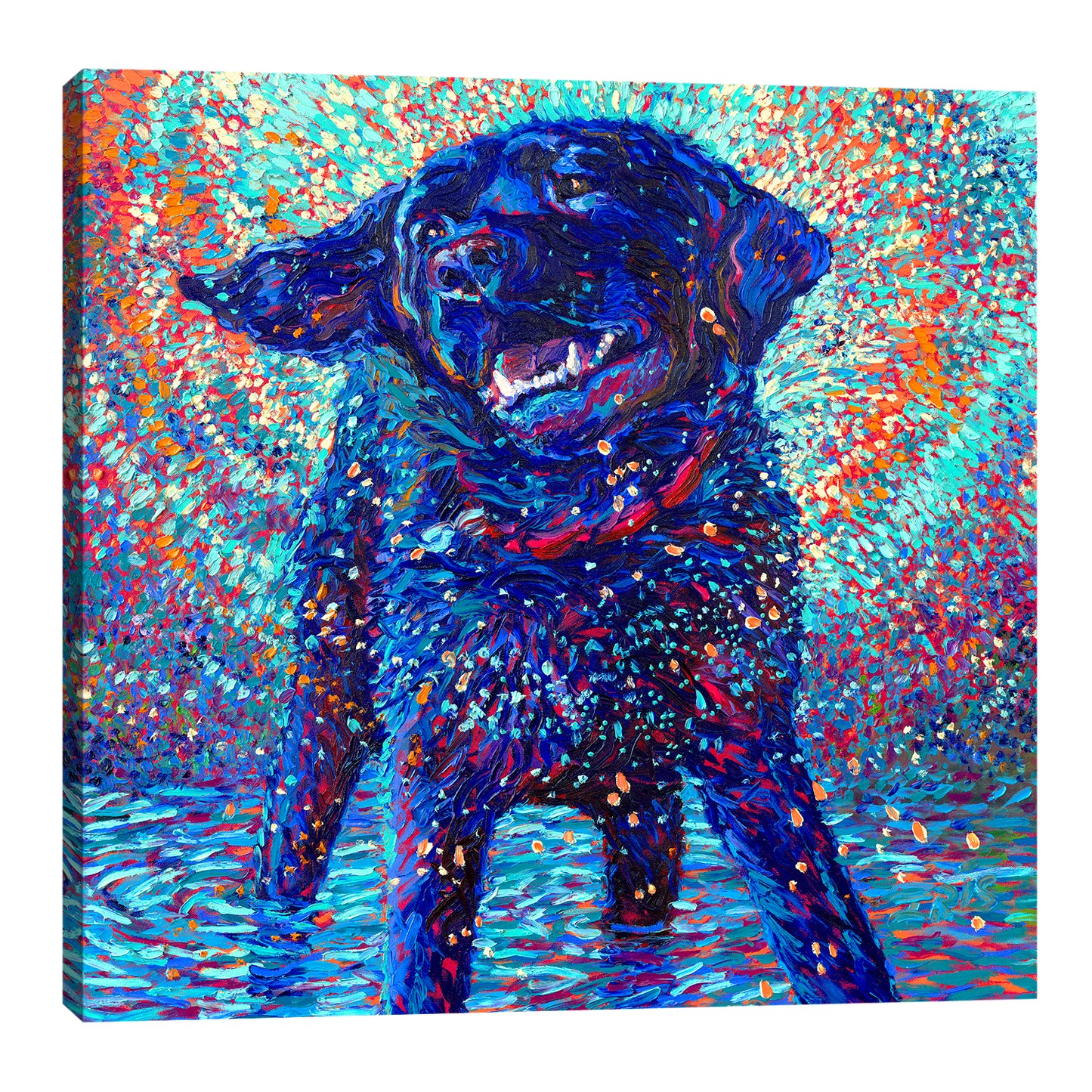 Canines & Color | Canvas Print