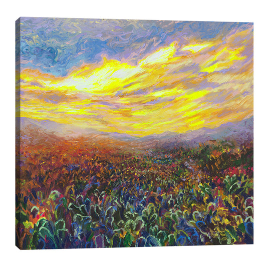 Cacti Sunrise | Canvas Print