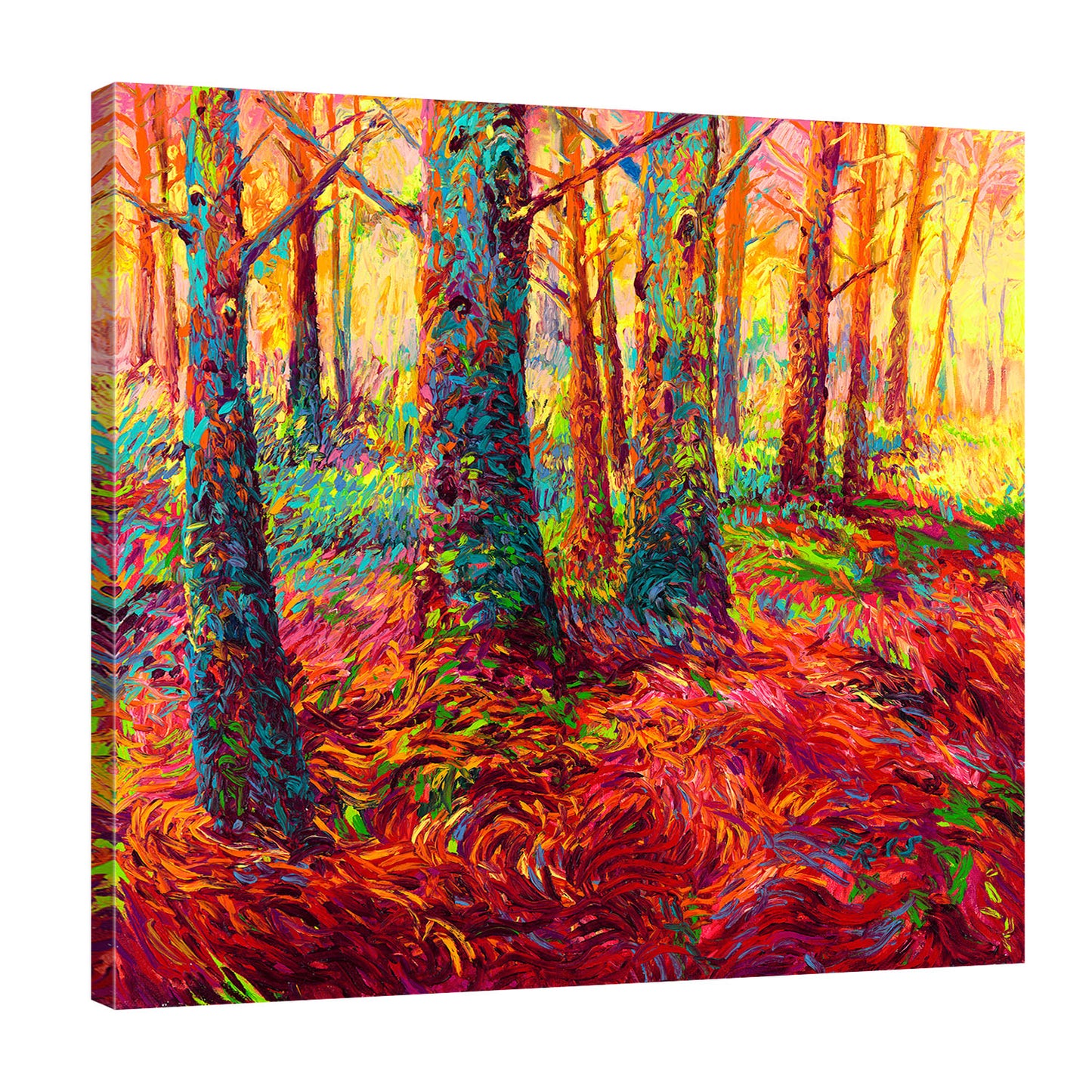 Redwood Fall | Canvas Print