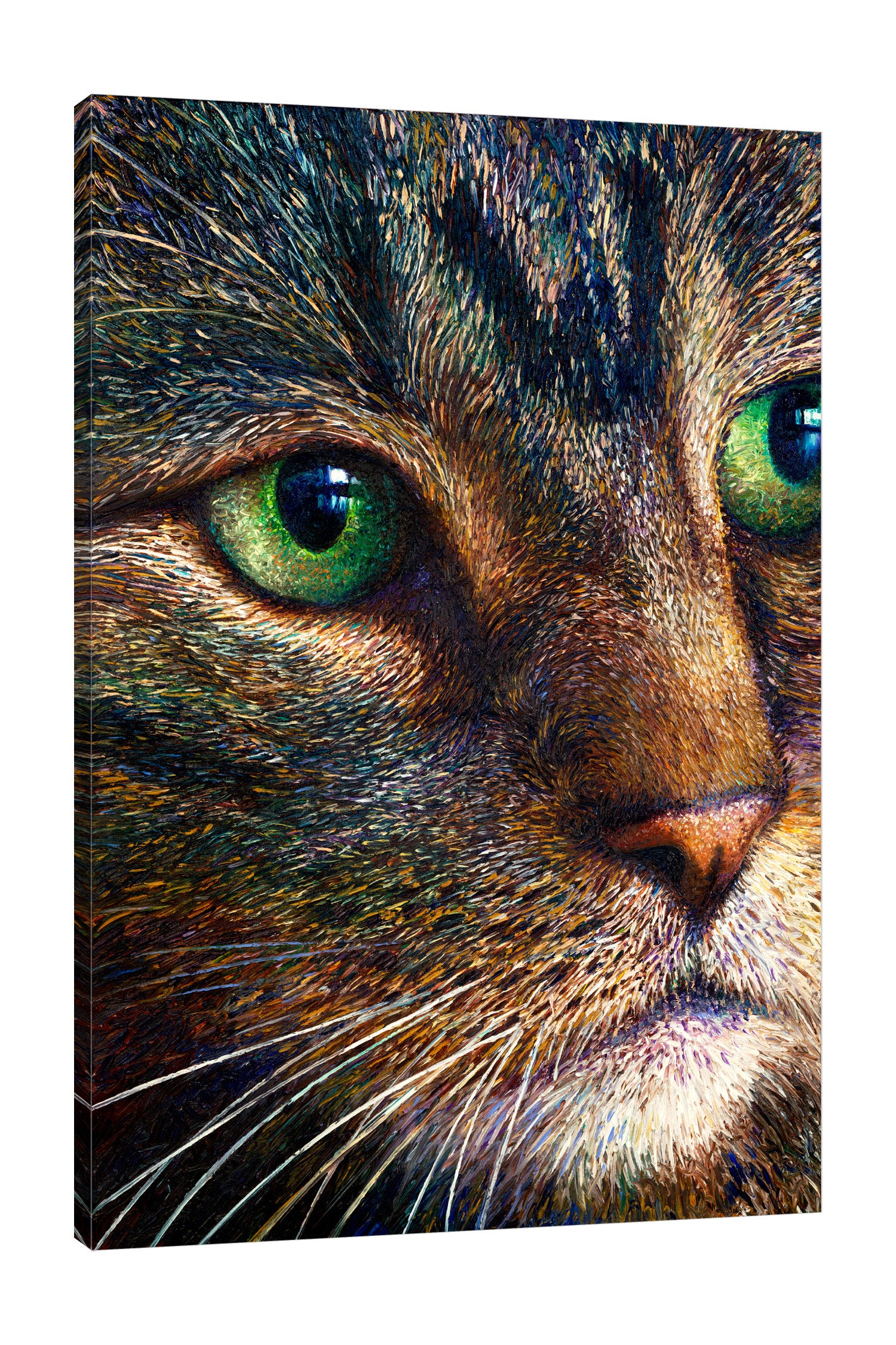 Broccoli Tabby by Iris Scott - Gallery Wrapped Canvas Print