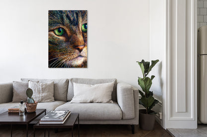 Broccoli Tabby