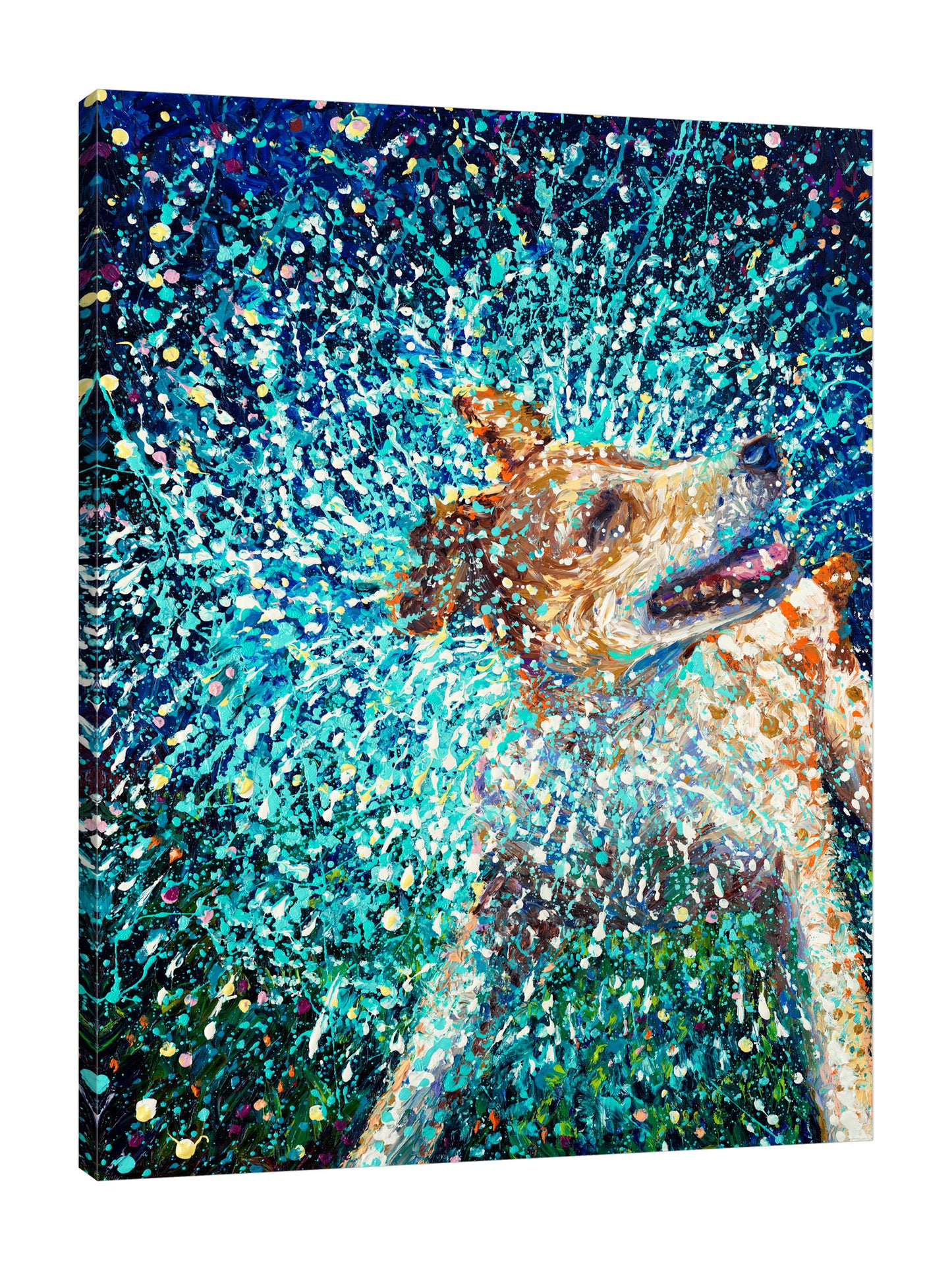 Jack Russell | Canvas Print